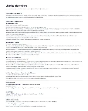 Modern resume template preview.