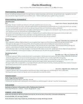 Simple resume template preview.
